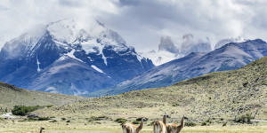 Beitragsbild des Blogbeitrags Nord nach Süd – Die beste Reisezeit für Chile 