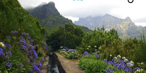 Beitragsbild des Blogbeitrags Madeira: Wandern entlang der Levadas