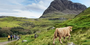 Beitragsbild des Blogbeitrags Reisebericht einer Wanderreise: Schottland gemütlich erwandern