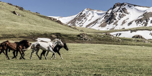 Beitragsbild des Blogbeitrags Beste Reisezeit für Kirgistan: Tipps & Infos