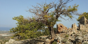 Beitragsbild des Blogbeitrags Reisebericht: Wandern auf Nisyros und Kos 