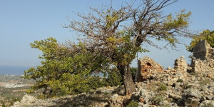 Beitragsbild des Blogbeitrags Reisebericht: Wandern auf Nisyros und Kos