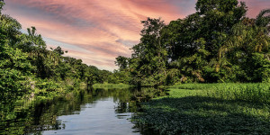 Beitragsbild des Blogbeitrags Costa Rica: Tipps für den Nationalpark Tortuguero 