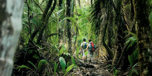 Beitragsbild des Blogbeitrags Die 6 schönsten Nationalparks in Costa Rica 