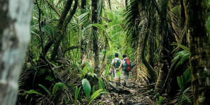 Beitragsbild des Blogbeitrags Die 6 schönsten Nationalparks in Costa Rica