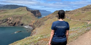 Beitragsbild des Blogbeitrags Madeira gemütlich erwandern – Ein Reisebericht 