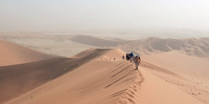 Beitragsbild des Blogbeitrags Namibias Highlights erleben – Ein Reisebericht