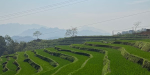 Beitragsbild des Blogbeitrags Reisebericht: Vietnams Highlights erleben