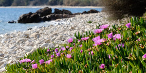 Beitragsbild des Blogbeitrags Chalkidikis Highlight erwandern – Ein Reisebericht