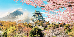 Beitragsbild des Blogbeitrags Japan Reisebericht: Zwischen Großstadttreiben & Naturschauspiel