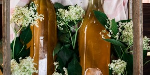 Beitragsbild des Blogbeitrags Elderflower Syrup – delicious and homemade 
