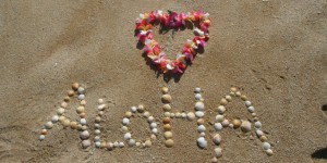 Beitragsbild des Blogbeitrags Travel Diary – Hawai’i