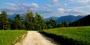 Beitragsbild des Blogbeitrags Gehe lächelnd Deinen Weg