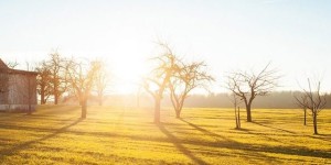 Beitragsbild des Blogbeitrags Einen wunderschönen, guten Morgen…