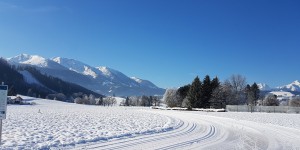 Beitragsbild des Blogbeitrags Deinen Weg finden oder die Spur wechseln 