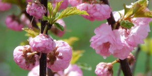 Beitragsbild des Blogbeitrags Frühlingsgefühle... 
