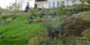 Beitragsbild des Blogbeitrags Gartenvorstellung 5 - Teil 5: Die Beetanlangen an der Südseite des Wohnhauses... 