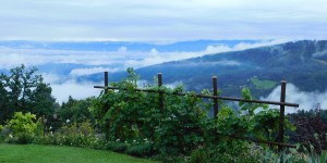 Beitragsbild des Blogbeitrags Spaziergang durch den Herbstgarten... 