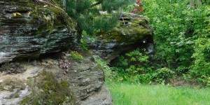 Beitragsbild des Blogbeitrags Gartenvorstellung 7: Die kleine Grotte...