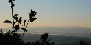 Beitragsbild des Blogbeitrags Sonntagmorgens