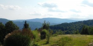 Beitragsbild des Blogbeitrags Wo der Pfeffer wächst...