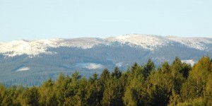 Beitragsbild des Blogbeitrags Herbstlich willkommen...