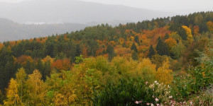 Beitragsbild des Blogbeitrags Der Herbst im Wohnzimmer...