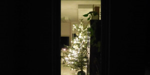 Beitragsbild des Blogbeitrags Weihnachtszeit...