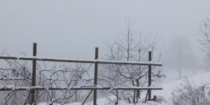 Beitragsbild des Blogbeitrags It`s beginning to look a lot like christmas...