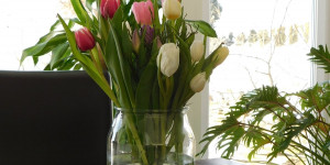 Beitragsbild des Blogbeitrags Draußen Winter, innen Frühling