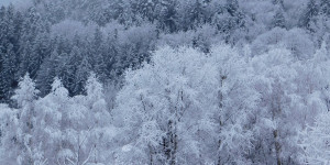 Beitragsbild des Blogbeitrags Schnee über Nacht...