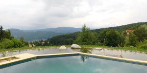 Beitragsbild des Blogbeitrags Schaufeln, Legen, Schwimmen - Fertigstellung des Schwimmteichs