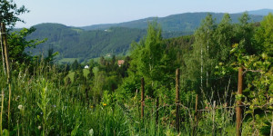 Beitragsbild des Blogbeitrags #mähfreiermai