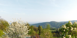 Beitragsbild des Blogbeitrags Frühling mit Herz