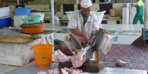 Beitragsbild des Blogbeitrags Am Fischmarkt in Mutrah 