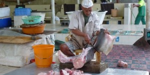 Beitragsbild des Blogbeitrags Am Fischmarkt in Mutrah