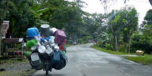 Beitragsbild des Blogbeitrags Mit dem Auto durch Sulawesi – Wer nicht hupt, lebt gefährlich!