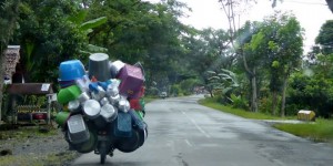 Beitragsbild des Blogbeitrags Mit dem Auto durch Sulawesi – Wer nicht hupt, lebt gefährlich! 