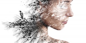 Beitragsbild des Blogbeitrags Energetische Psychosomatik und die unterschiedlichen Bewusstseinsebenen