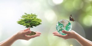 Beitragsbild des Blogbeitrags Bewusstsein, Energiearbeit und Klimaveränderung