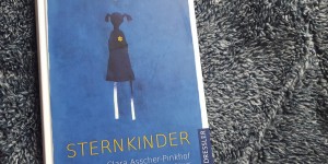 Beitragsbild des Blogbeitrags Holocaust & Jugendbuch: Sternkinder 