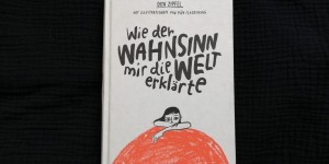 Beitragsbild des Blogbeitrags Wie der Wahnsinn mir die Welt erklärte