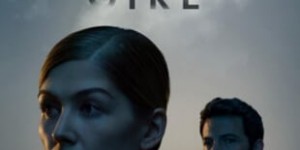 Beitragsbild des Blogbeitrags Gone Girl – Das perfekte Opfer
