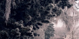 Beitragsbild des Blogbeitrags Happy New Year
