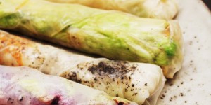Beitragsbild des Blogbeitrags Frühlingsrollen wie Gemälde