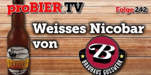 Beitragsbild des Blogbeitrags Nachkontrolliert – Weisses Nicobar von Gusswerk