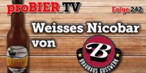 Beitragsbild des Blogbeitrags proBIER.TV – Weisses Nicobar von Gusswerk | #242 | Craft Beer Review [4K] 