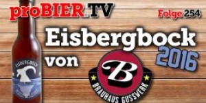 Beitragsbild des Blogbeitrags proBIER.TV – Eisbergbock von Gusswerk | #254 | Craft Beer Review [4K] 