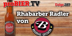 Beitragsbild des Blogbeitrags Gusswerk bringt Rhabarber in den Radler – Zum Wohl!