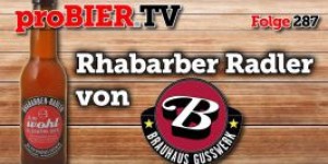 Beitragsbild des Blogbeitrags Rhabarber Radler von Gusswerk | proBIER.TV – Craft Beer Review #287 [4K] 